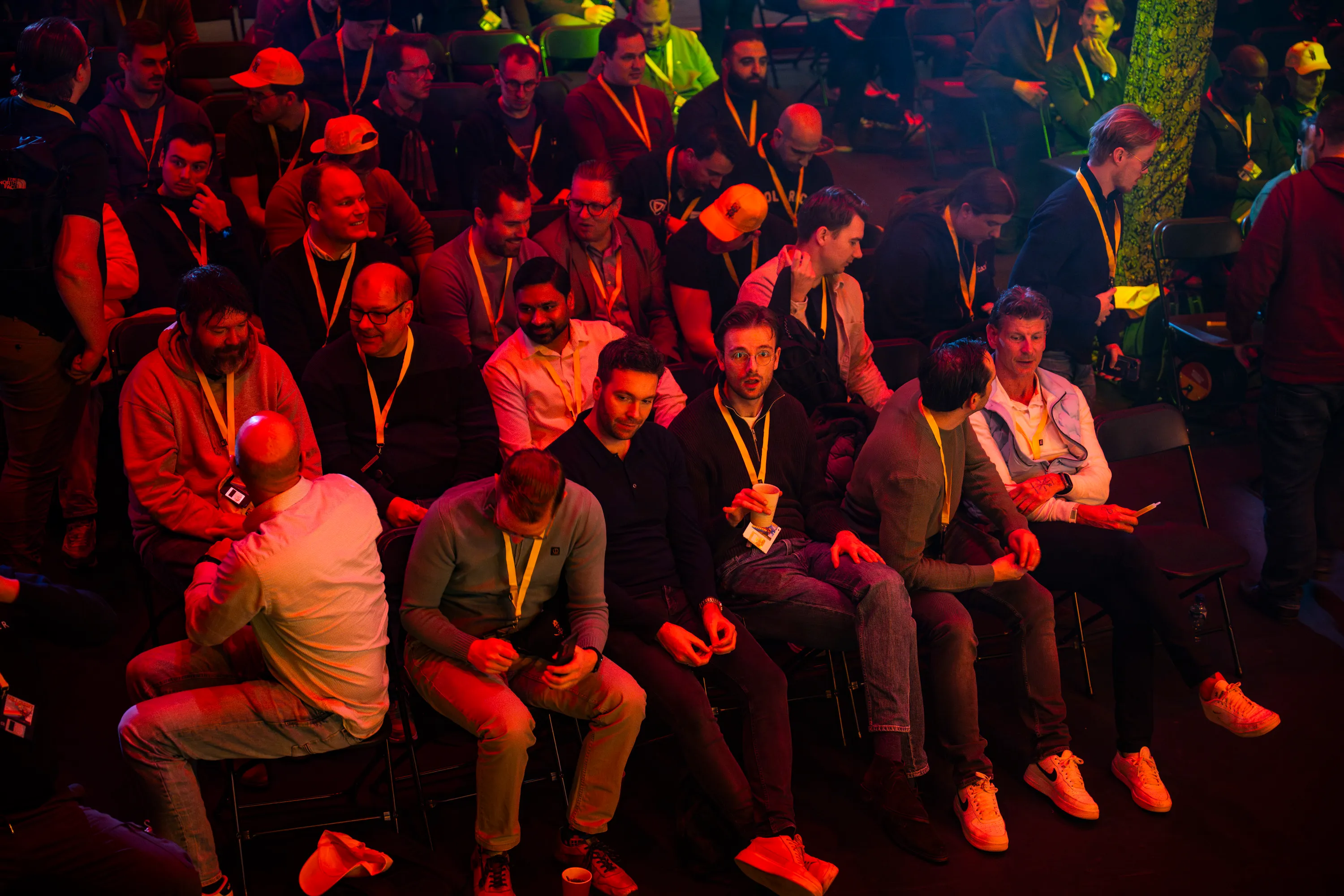 Yellowhat 2026 photo 23